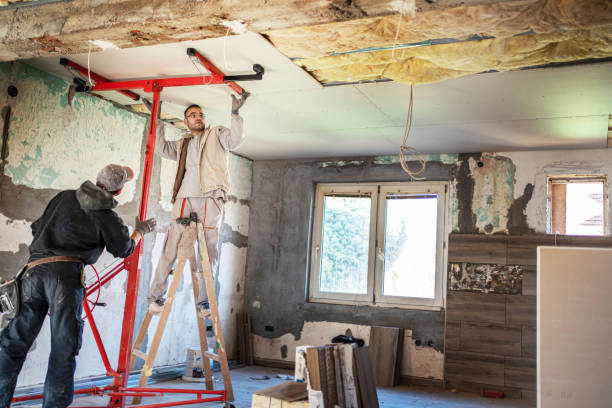 Best Eco-Friendly Insulation in New Windsor, MD