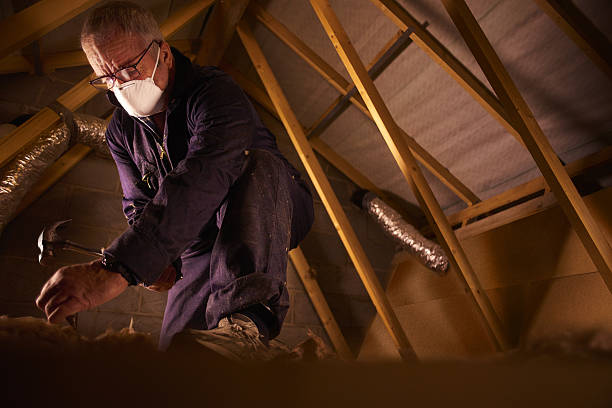 Best Eco-Friendly Insulation in New Windsor, MD